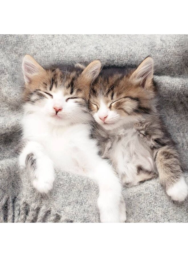 Pure Dekbedovertrek Kids Snooze Grijs - Microvezel