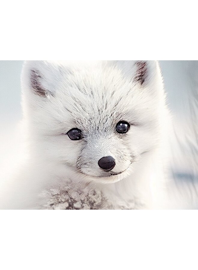 Good Morning Dekbedovertrek Kids Toss Wit - Flanel