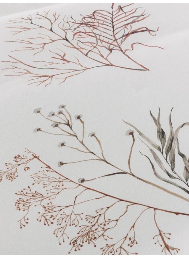 Heckett & Lane Dekbedovertrek Coralline Wit - Katoensatijn