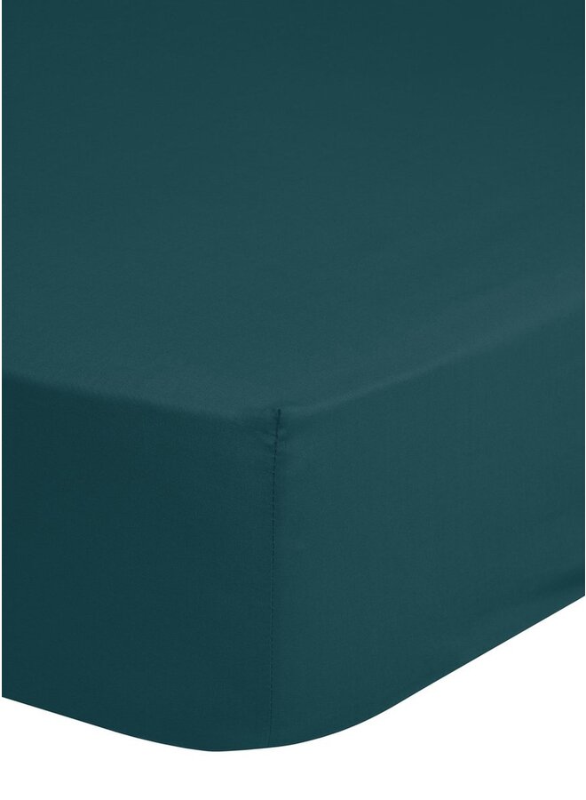 Good Morning Hoeslaken Petrol - Jersey