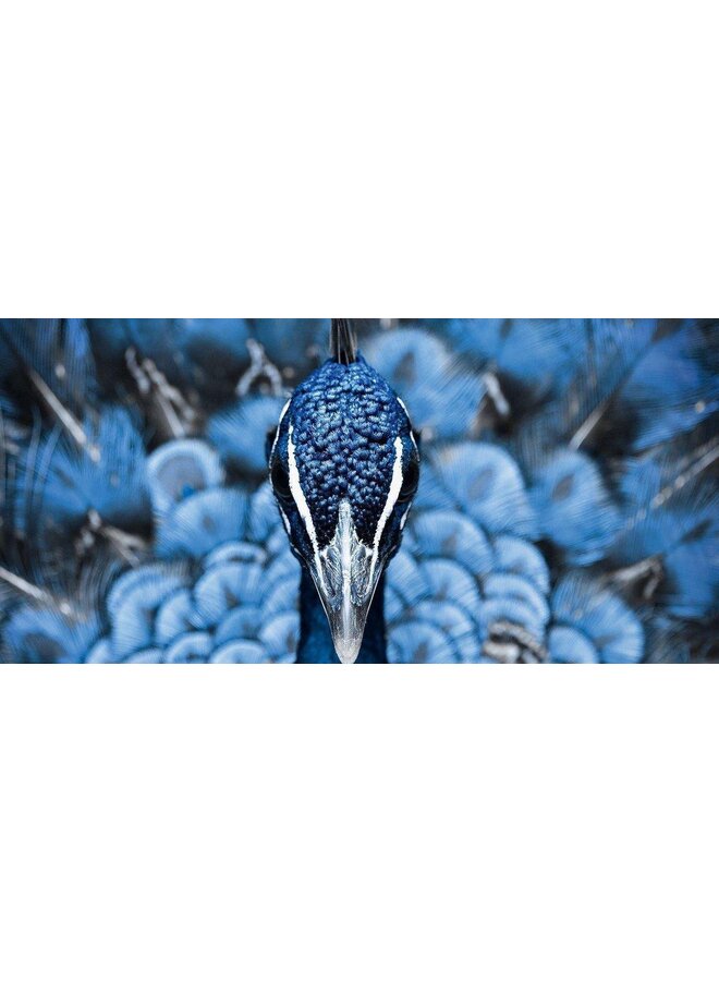 Pure Dekbedovertrek Proud Blauw - Microvezel