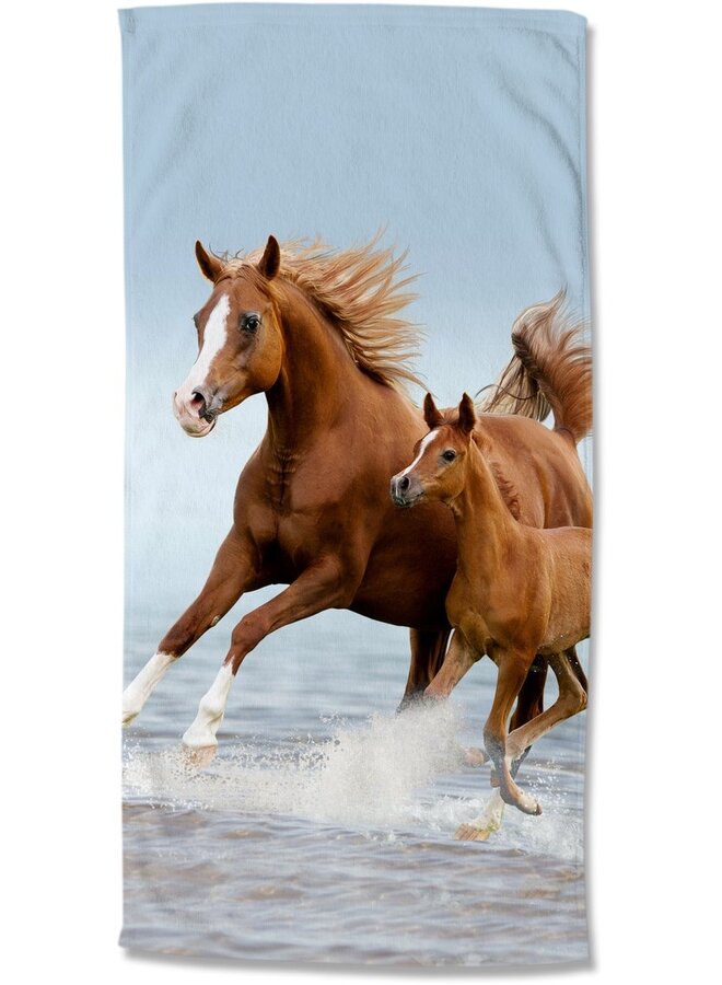 Strandlaken Free Multi - 75x150 - Velours