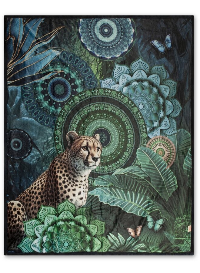 Plaid Nyah Multi - 130x160 - Velvet