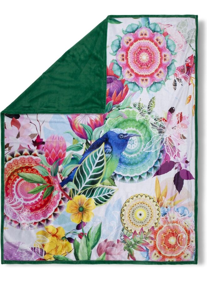 HIP Plaid Chess Multi - 130x160 - Velvet