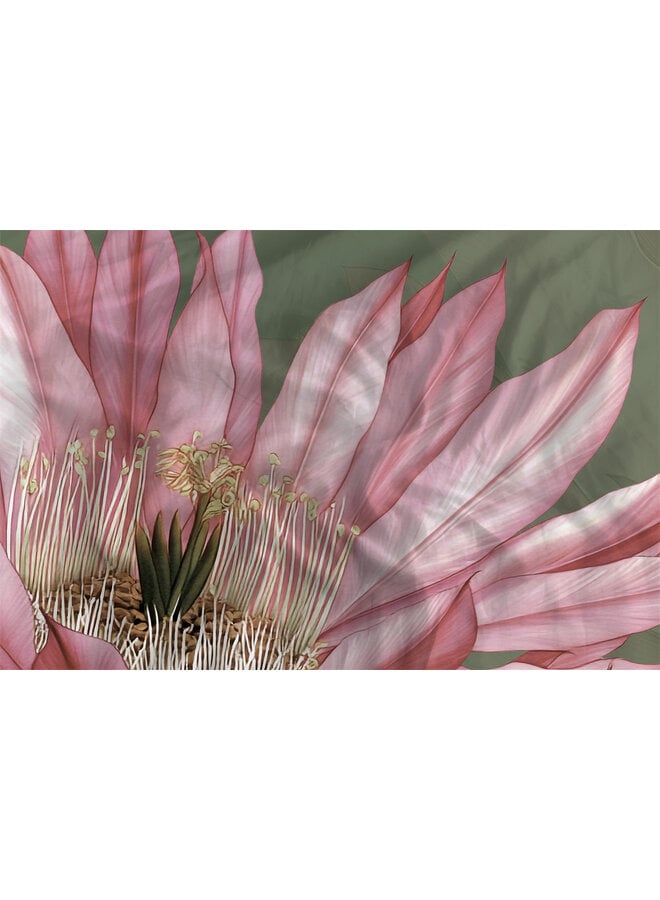 Heckett & Lane Dekbedovertrek Mesa Forest Green - Katoensatijn