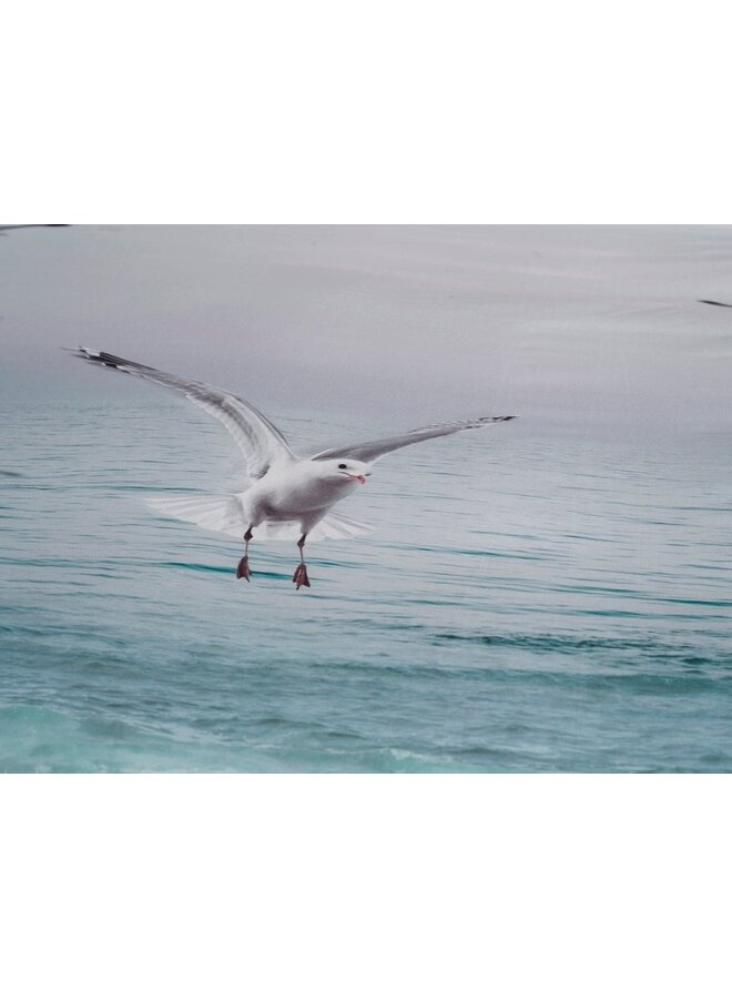 Heckett & Lane Dekbedovertrek Esma Multi - Katoensatijn