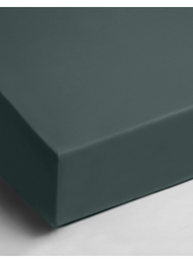 Papillon Hoeslaken Groen - Dubbel Jersey
