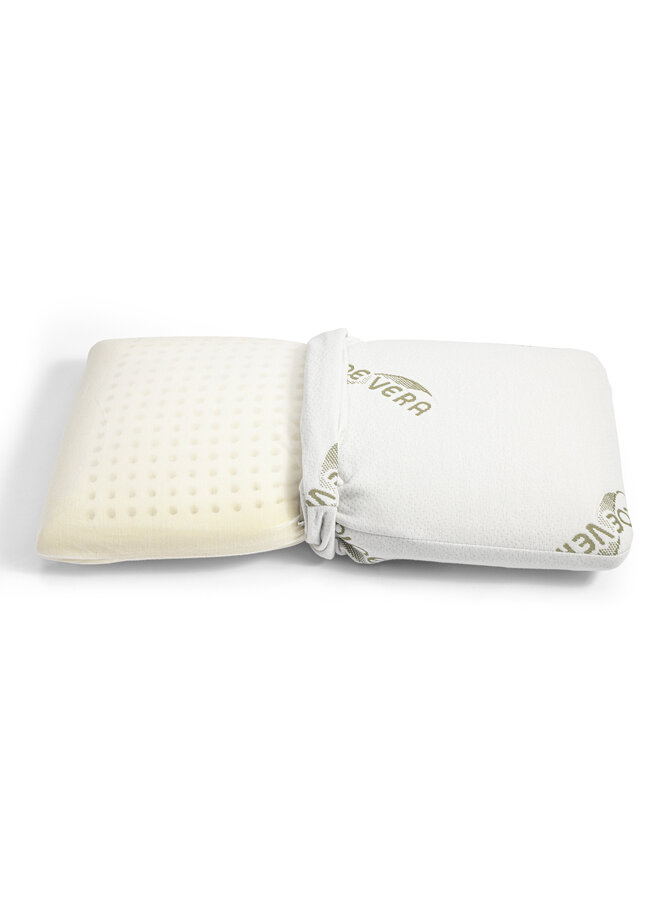 Dreamhouse Hoofdkussen Orthopedisch Viscogel Aloe Vera - Traagschuim