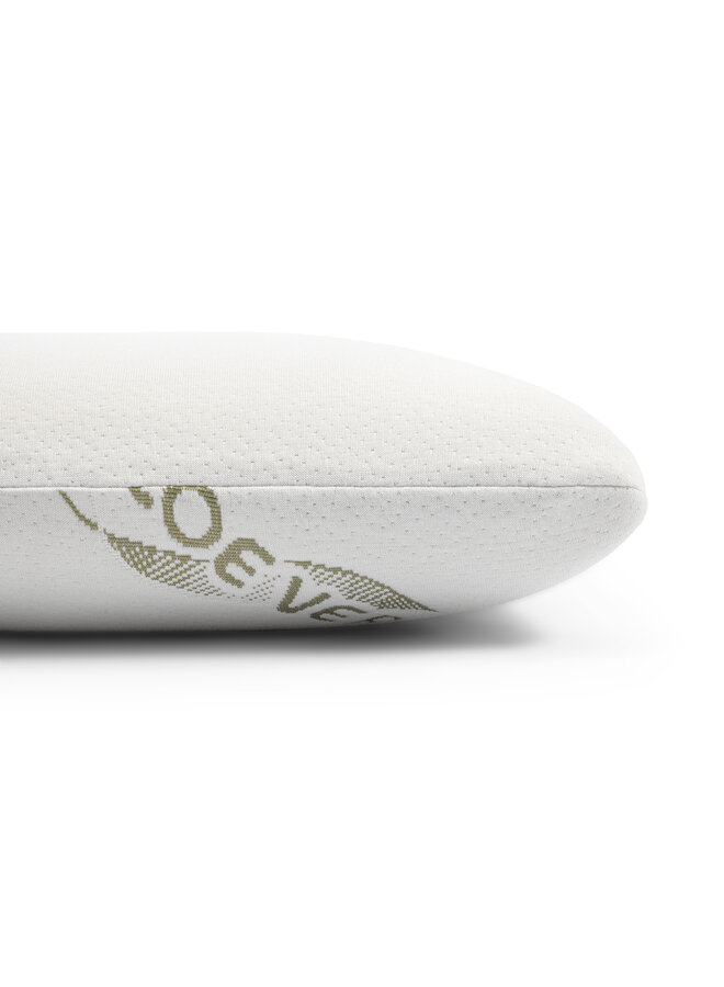 Dreamhouse Hoofdkussen Orthopedisch Viscogel Aloe Vera - Traagschuim