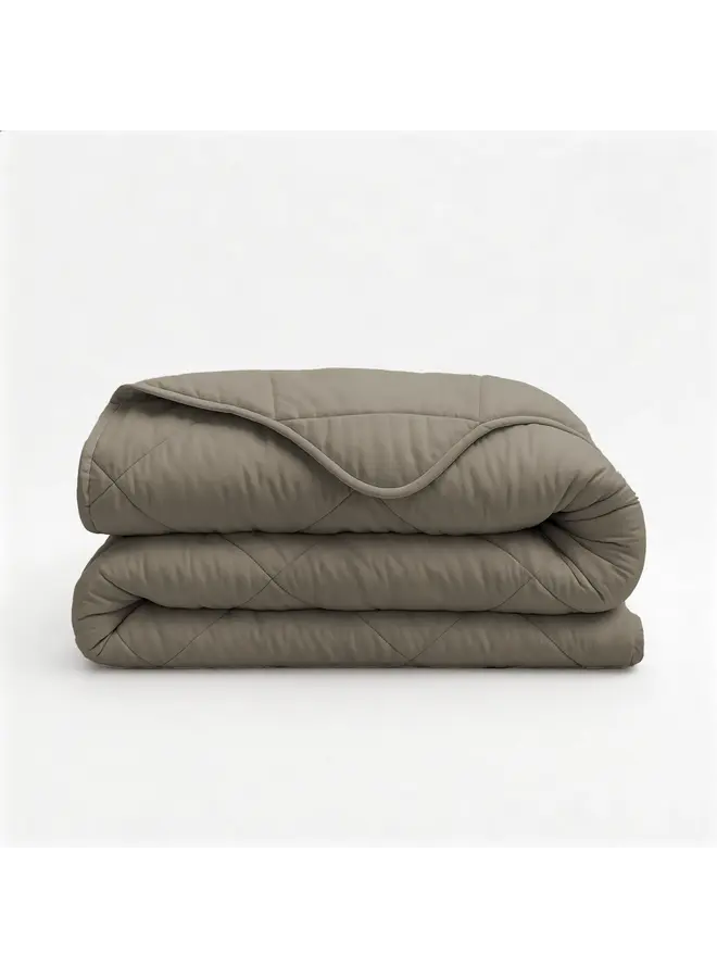 Sleeptime Lazy Dekbed  Uni Taupe - Met Kussenslopen - Microvezel