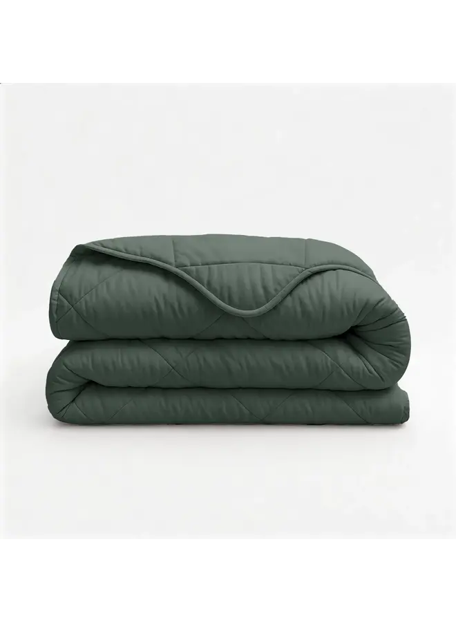 Sleeptime Lazy Dekbed Uni Groen - Met Kussenslopen - Microvezel