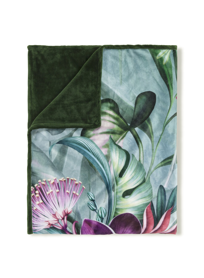 Descanso Plaid Allison Groen - Velvet