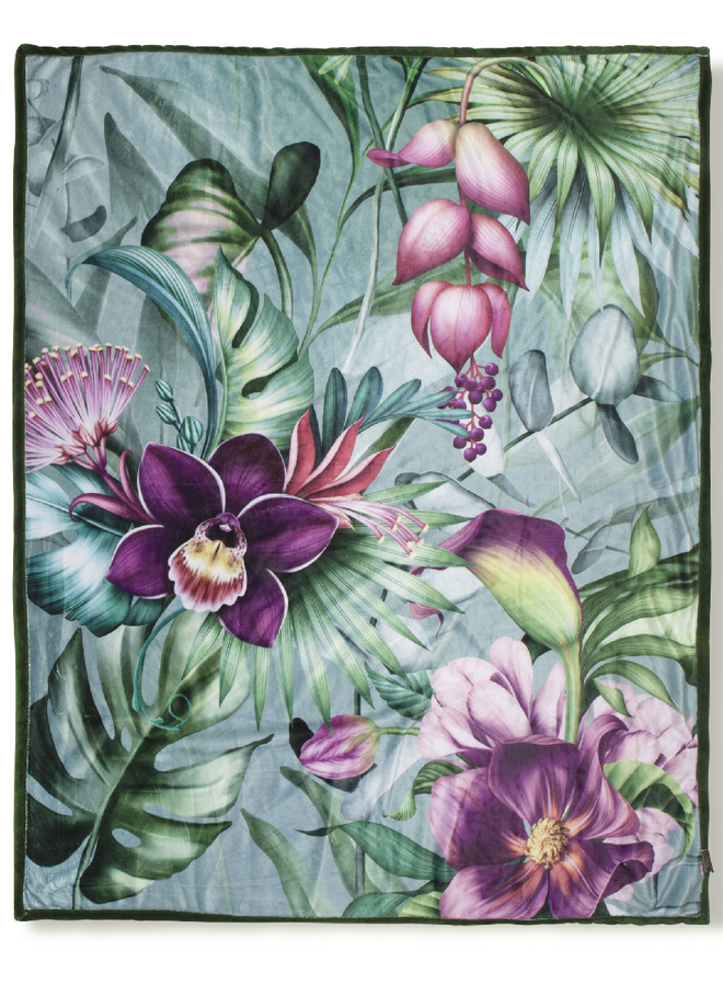 Plaid Allison Groen - Velvet