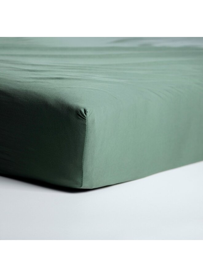Cinderella Hoeslaken Groen - Jersey