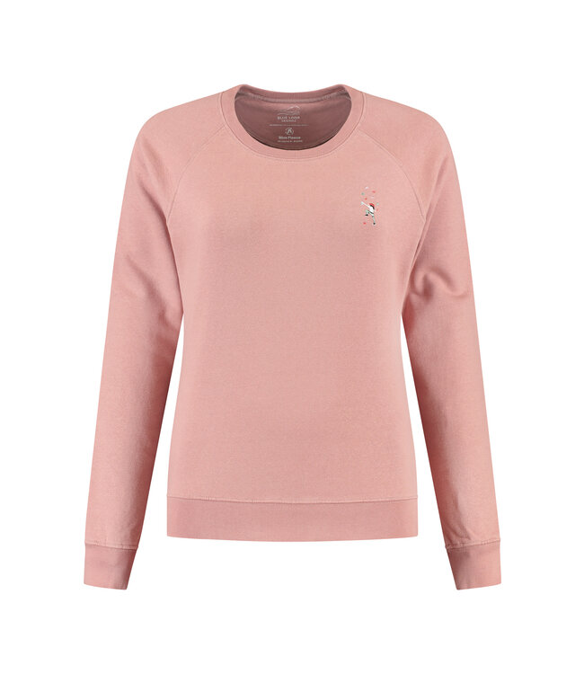 Blue Fleece Bouldering Sweater - Ash Rose