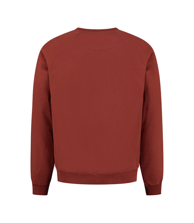 Blue Fleece Squirrel Sweater - Brown