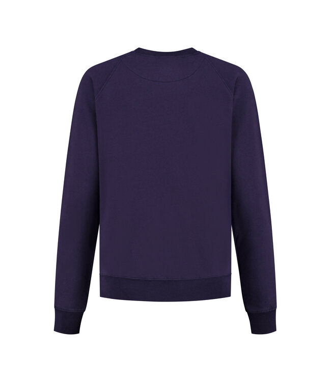 Blue Fleece Fishshark Crewe Sweater - Astral Navy