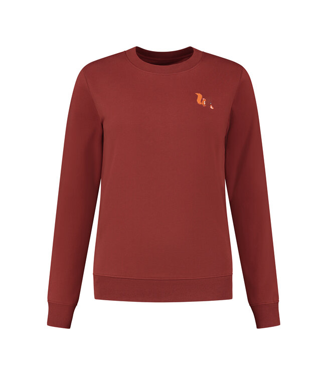 Blue Fleece Squirrel sweater - Dark Terra