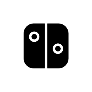 Nintendo Switch Controllers