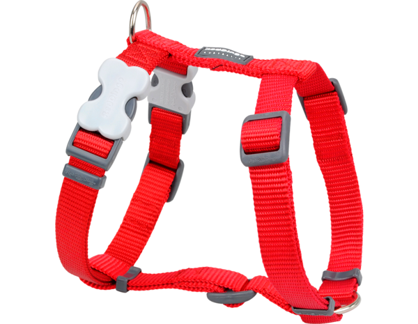 Red Dingo  Harnas  maat XL