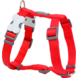Red Dingo  Harnas  maat XL