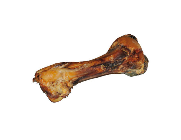 Hundos Dinobot knokkelbeen 30cm