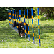 ProCyoN Agility  professionele FCI, slalom set