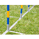 ProCyoN Agility  professionele FCI, slalom set