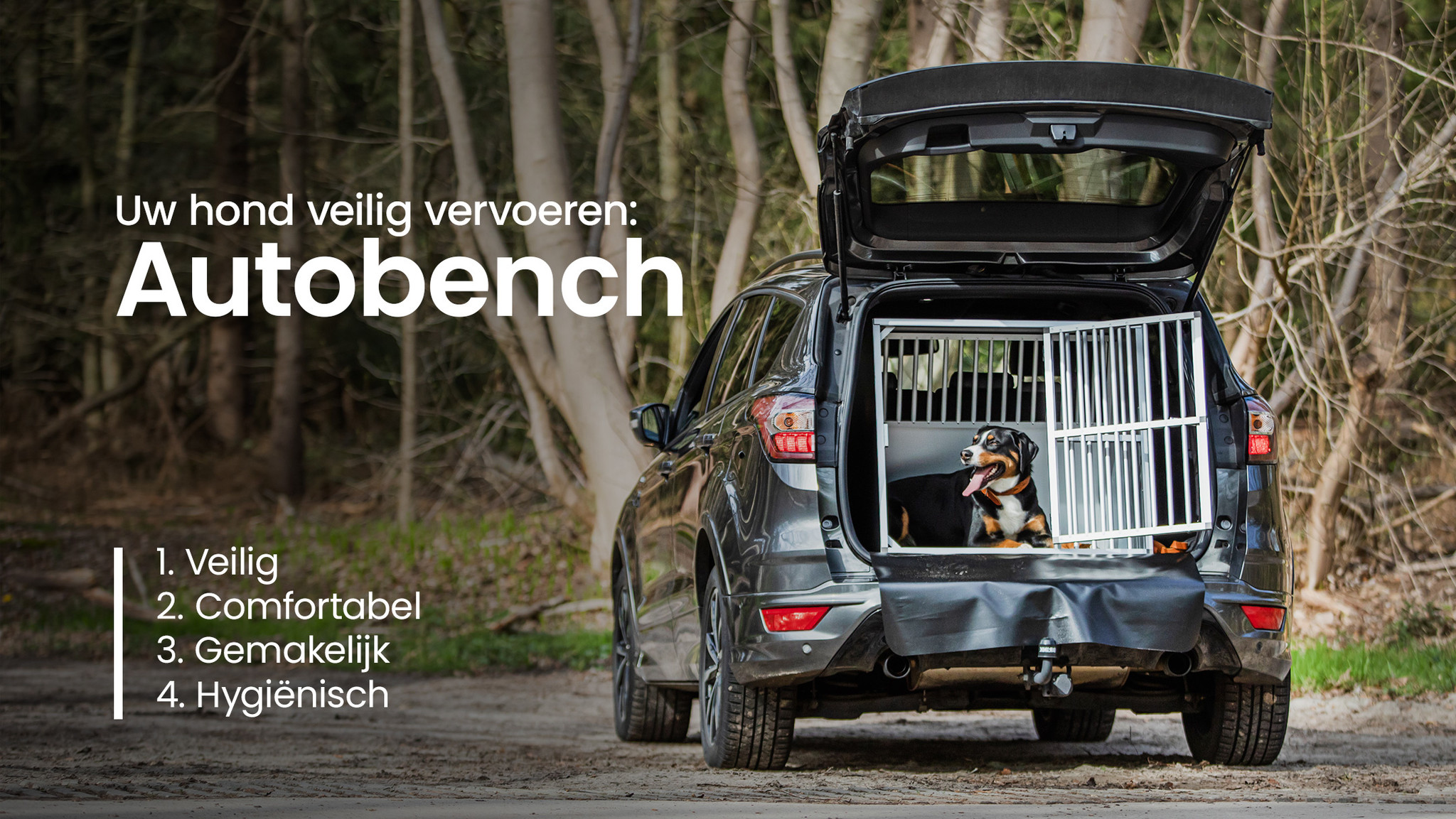Uw hond veilig vervoeren - Autobench | Kelders Kooien