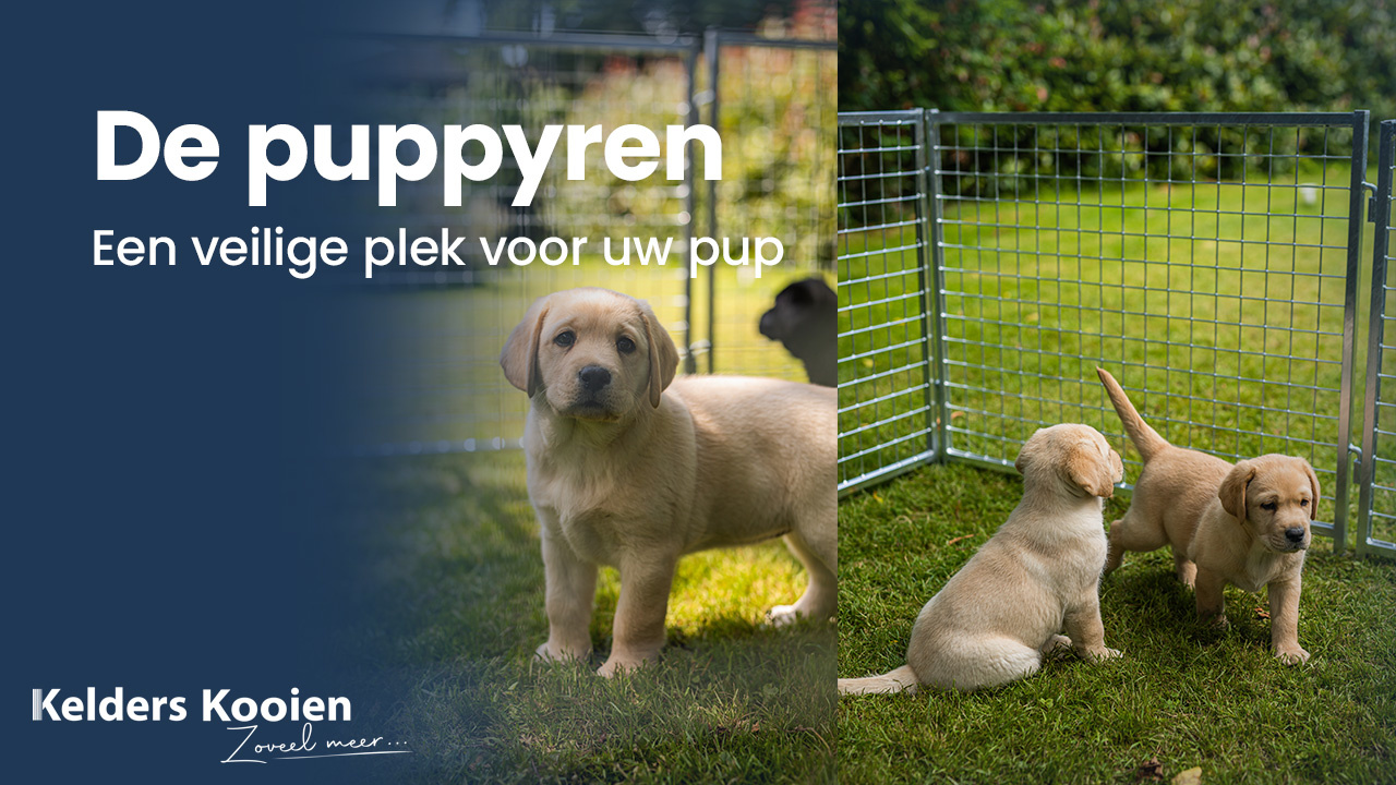 De puppyren: Een veilige plek voor uw pup!