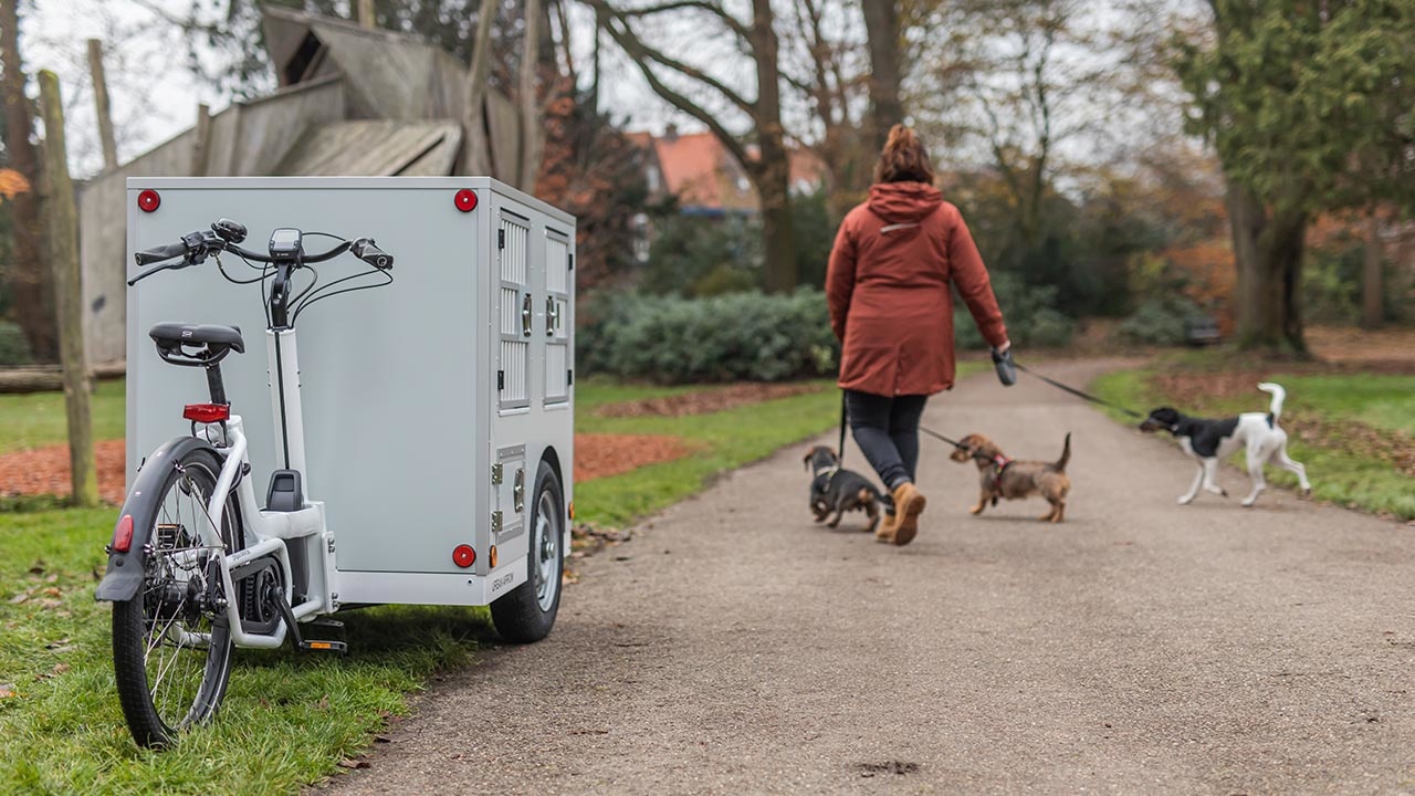 Honden uitlaatservice met de fiets met verschillende honden