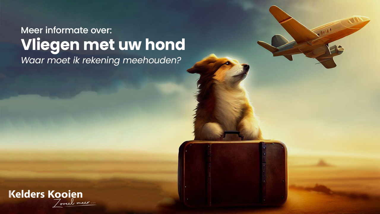 Vliegen met uw hond