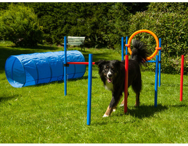 ProCyoN Agility set K2 Tunnel, slalom 4 palen,  Horde en springring