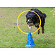 De-Tail Agility Ring Geel  60 cm.