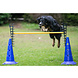 De-Tail Agility Hordentrap 45 cm met maataanduiding per set 2 stuks