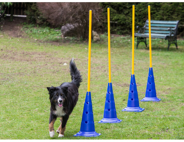 De-Tail Agility Pylon 30 cm  hoog per stuk