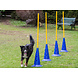 De-Tail Agility Pylon 30 cm  hoog per stuk