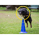 De-Tail Agility Ring Geel  40 cm.