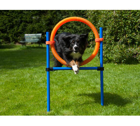 ProCyoN Agility Springring