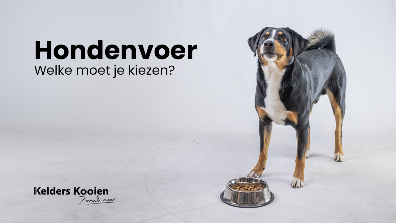 Hondenvoer. Welke moet ik kiezen?