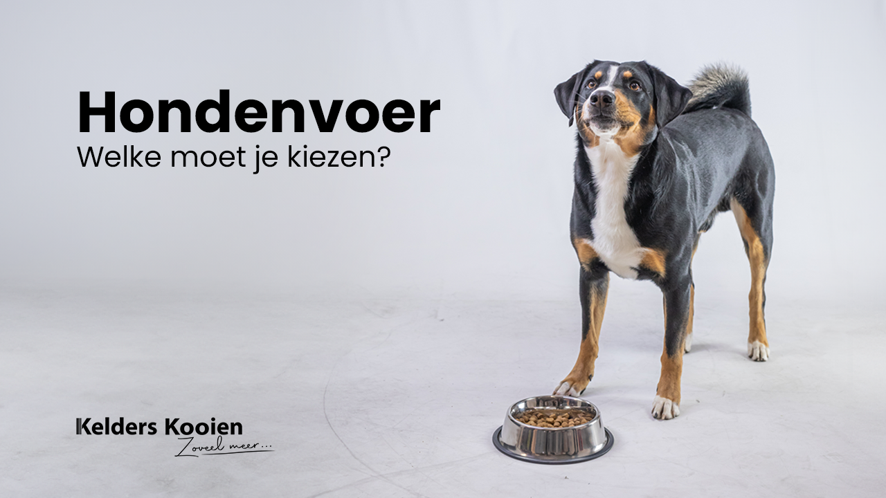 Hondenvoer. Welke moet je kiezen?