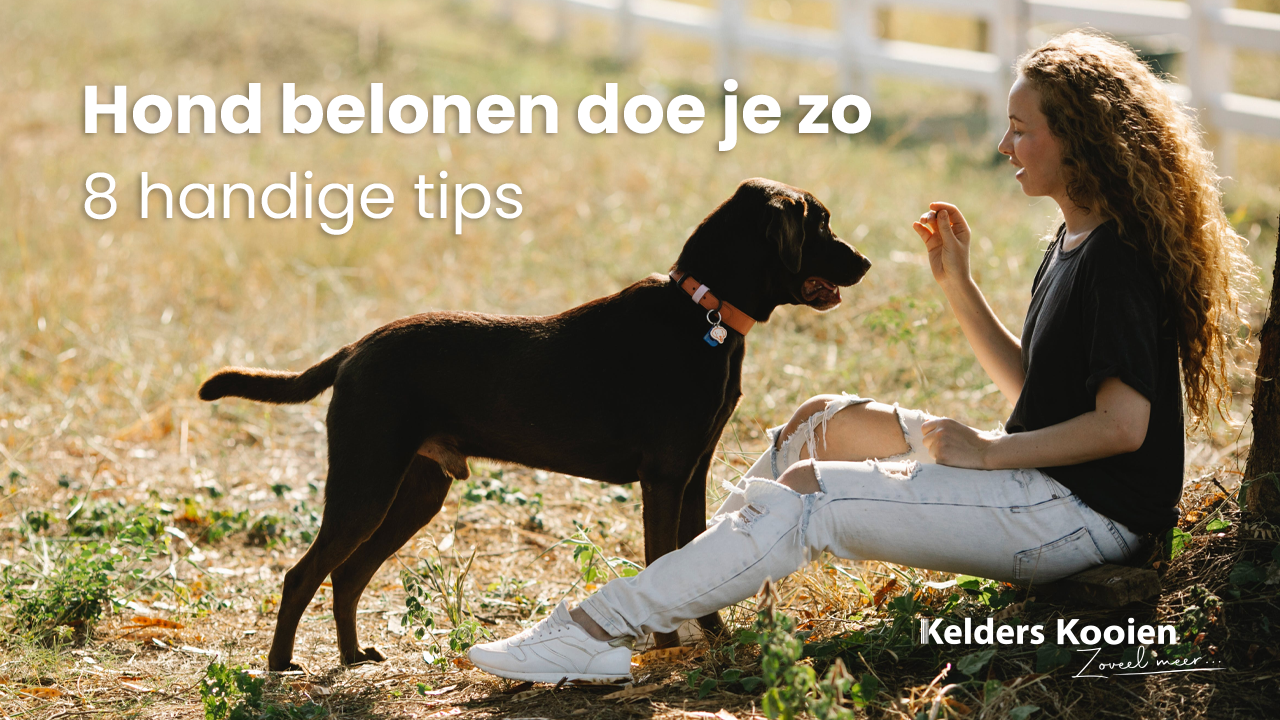 Je hond belonen doe je zo: 8 tips