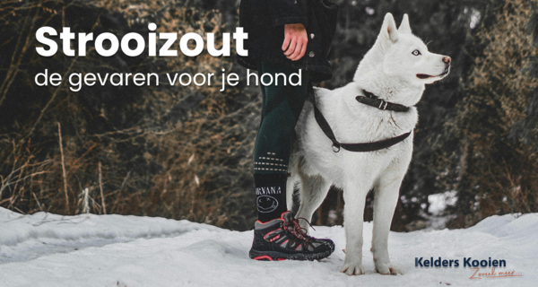 Strooizout. De gevaren voor je hond.