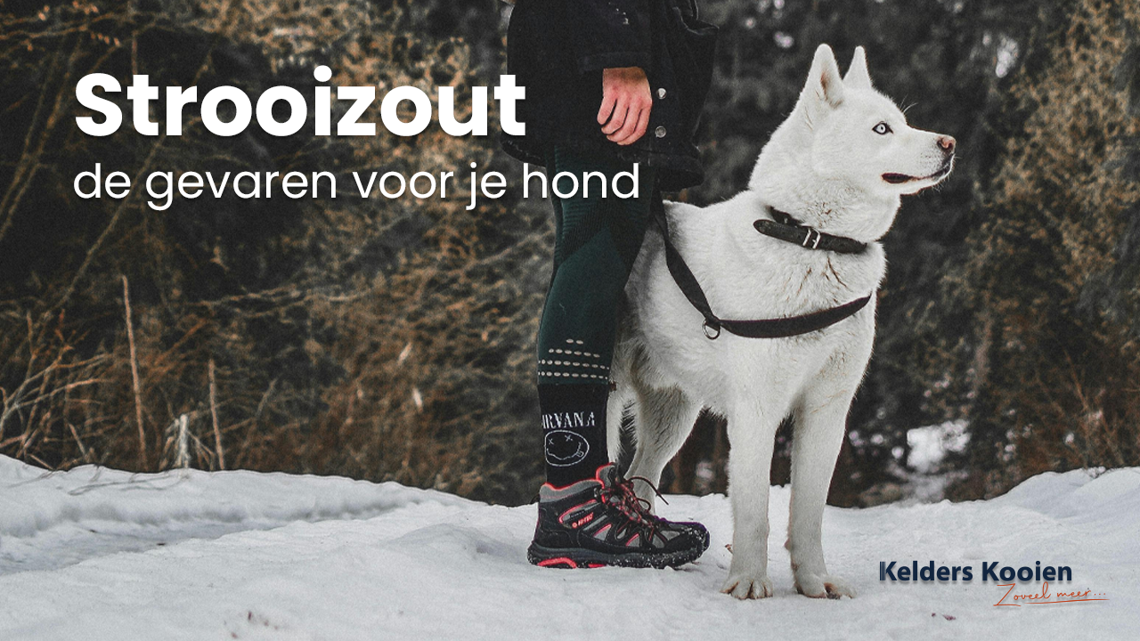 Strooizout. De gevaren voor je hond.