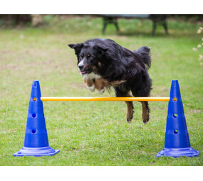 De-Tail Agility  horde 2 pylonen met springstok 51 x100 cm.