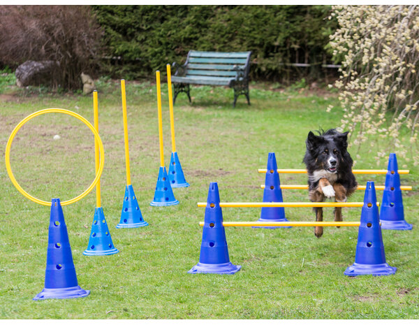 De-Tail Agility  horde 2 pylonen met springstok 51 x100 cm.