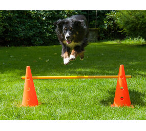 De-Tail Agility horde met springstok 38 x 100 cm