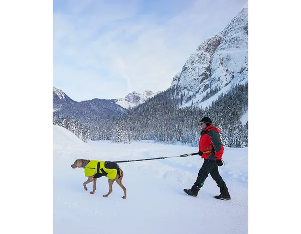 Axaeco Trekking Belt Alpine Climber