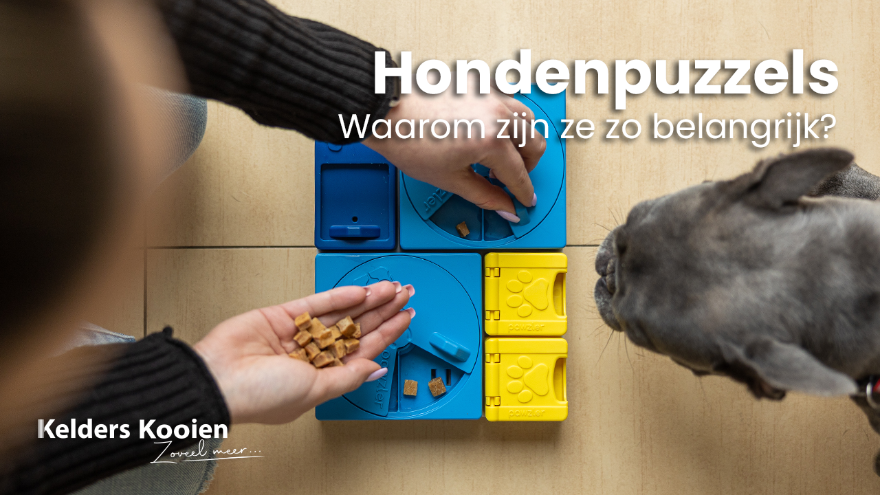 Hondenpuzzels! Waarom zijn ze zo belangrijk?