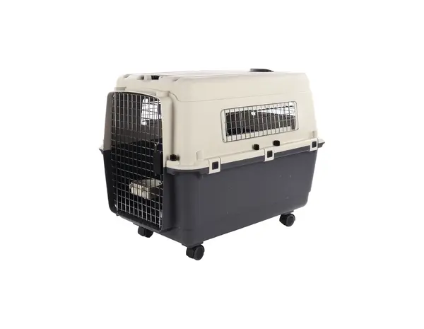 Flamingo Transportbox NOMAD L tot 25kg - Grijs